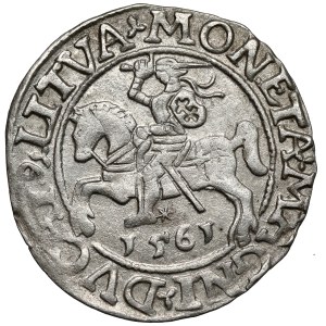 Zygmunt II August, Półgrosz Wilno 1561 - LI / LITVA