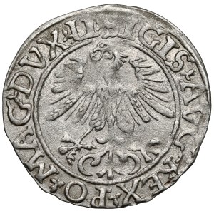 Zygmunt II August, Półgrosz Wilno 1561 - LI / LITVA