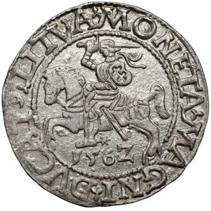 Zygmunt II August, Półgrosz Wilno 1562 - opuszczony ogon