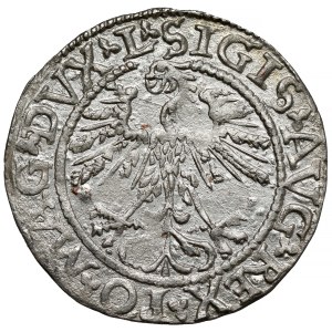Zygmunt II August, Półgrosz Wilno 1562 - opuszczony ogon