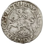 Zygmunt II August, Półgrosz Wilno 1562 - Topór U GÓRY