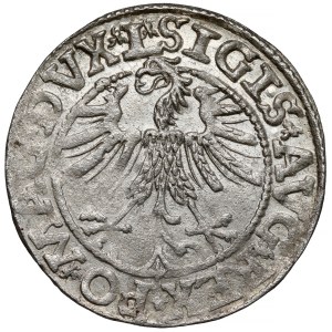 Sigismund II Augustus, Vilnius Half-Groschen, 1563—early