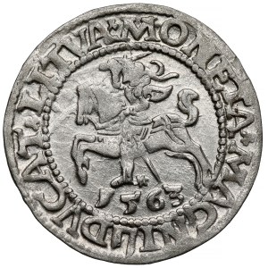 Sigismund II Augustus, Vilnius Half-Groschen, 1563 - from D*G