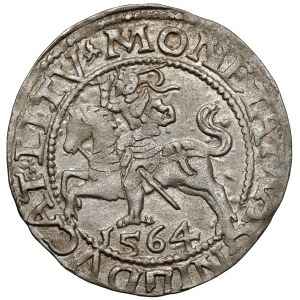 Sigismund II. August, Halbgroschen, Vilnius 1564 – LITV