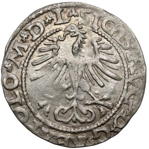 Sigismund II. August, Halbgroschen, Vilnius 1564 – LITV