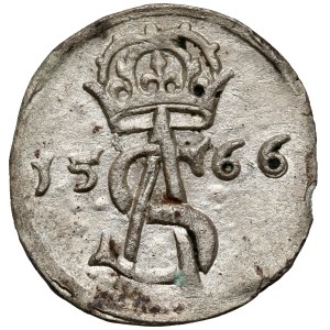Zygmunt II August, Dwudenar Wilno 1566
