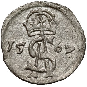 Zygmunt II August, Dwudenar Wilno 1567 - ogon do góry