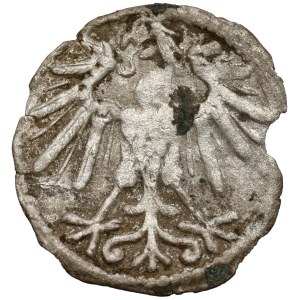 Sigismund II Augustus, Vilnius Denarius, 1550—a rare year