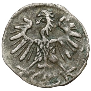 Sigismund II Augustus, Vilnius Denar, 1552
