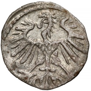 Sigismund II Augustus, Denar, Vilnius, 1553