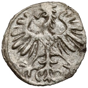 Sigismund II. August, Denar aus Vilnius, 1554