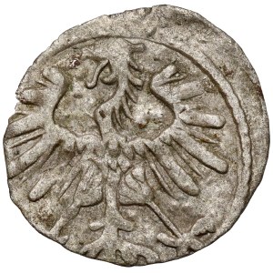 Sigismund II Augustus, Vilnius Denar, 1555