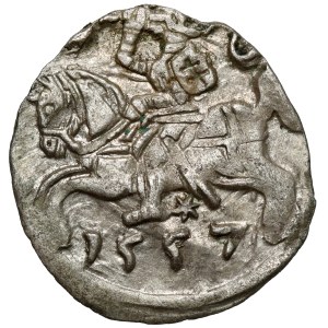 Zygmunt II. August, denár, Vilnius 1557