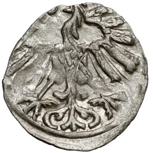 Zygmunt II. August, denár, Vilnius 1557