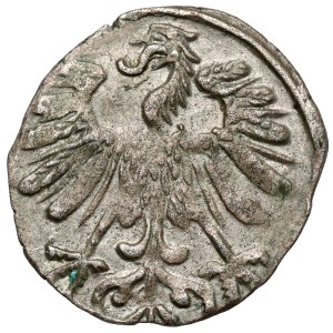 Zygmunt II. August, denár, Vilnius 1558