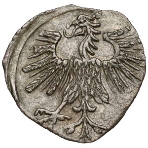 Sigismund II. August, Denar aus Vilnius, 1560