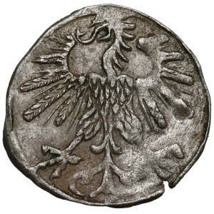 Sigismund II Augustus, Vilnius Denarius, 1563—late issue—rare
