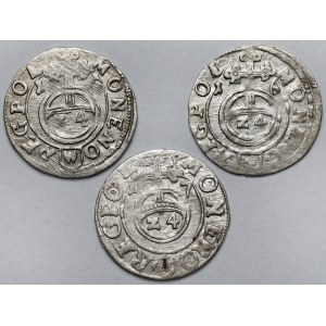 Zygmunt III Waza, Półtorak Bydgoszcz 1615-1617 - zestaw (3szt)