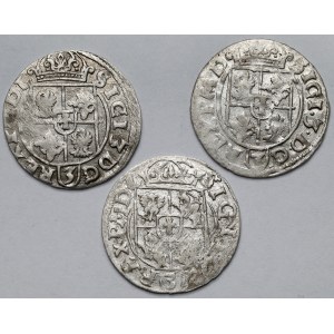 Zygmunt III Waza, Półtorak Bydgoszcz 1615-1617 - zestaw (3szt)