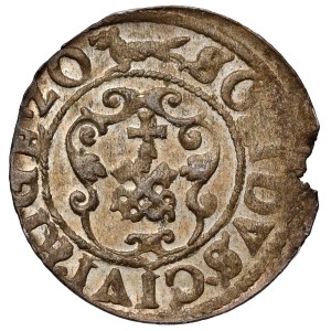 Sigismund III Vasa, Riga Shilling, 1620 – Liszka facing left
