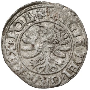 Sigismund I the Old, Gdańsk Szeląg, 1530