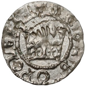 Jan Olbracht, Półgrosz Kraków - pierścień