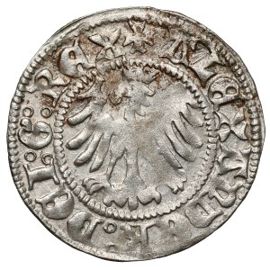 Aleksander Jagiellończyk, Półgrosz Kraków - REG'