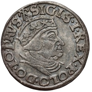 Zygmunt I Stary, Trojak Gdańsk 1539