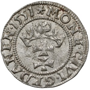 Sigismund II Augustus, Gdańsk Szeląg, 1551