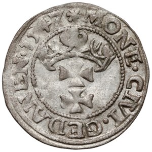 Zygmunt I Stary, Szeląg Gdańsk 1547