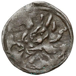 Western Pomerania, Stargard, 15th-century denar - Griffin facing left