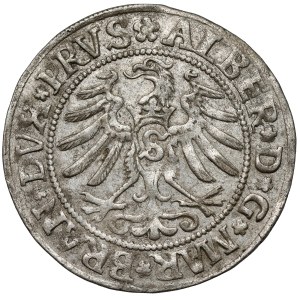 Prussia, Alberto di Hohenzollern, Groschen di Königsberg 1531