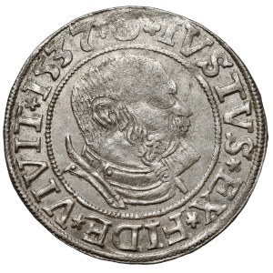Prusy, Albrecht Hohenzollern, Grosz Królewiec 1537