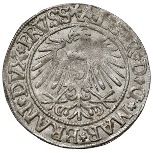 Prusy, Albrecht Hohenzollern, Grosz Królewiec 1537