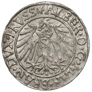 Prussia, Albrecht Hohenzollern, Königsberg grosz, 1538