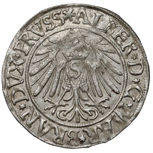 Prusy, Albrecht Hohenzollern, Grosz Królewiec 1538