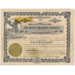 The Polish Mechanics Company, $100 Stock Offering, 1920