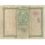 The Polish Mechanics Company, $100 Stock Offering, 1920