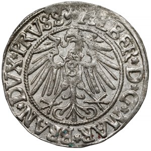 Prussia, Albrecht Hohenzollern, Königsberg grosz, 1542