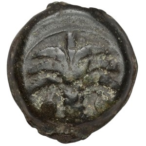 Grécko, Zeugitana, Kartágo (250–200 pred n. l.) AE20
