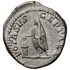 Septimius Severus (193–211 n. l.) Denár, Rím