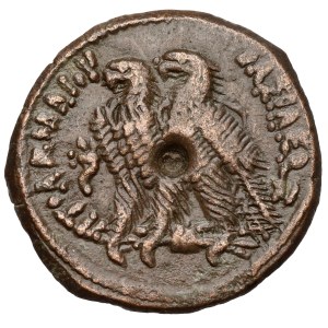 Grecja, Egipt, Dynastia Ptolemeuszy, AE20 (~II p.n.e.)