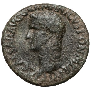 Caligula (37–41 CE), Ass, Rome