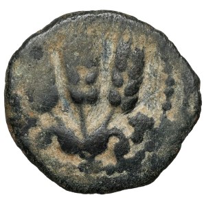 Judea, Agrippa I (37–44 CE) Prutah, Jerusalem