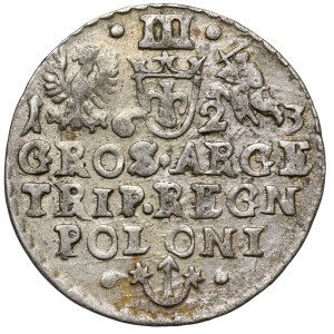 Sigismund III Vasa, Trojak, Kraków 1623 - POLO