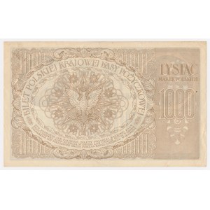 1 000 mkp 1919 máj – séria ZA
