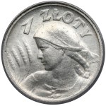 Zobacz podobne