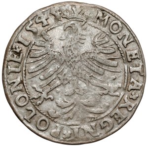Zygmunt I. Starý, krakovský groš z roku 1545 – přetisk z roku 1544