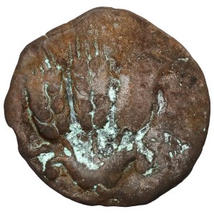 Judaea, Agryppa I (37-44 n.e.) Prutah, Jerozolima