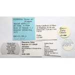 Roman Empire, Provinces, Bronze Coins (1st–2nd Centuries CE) - Highlights - Set (5 pieces)